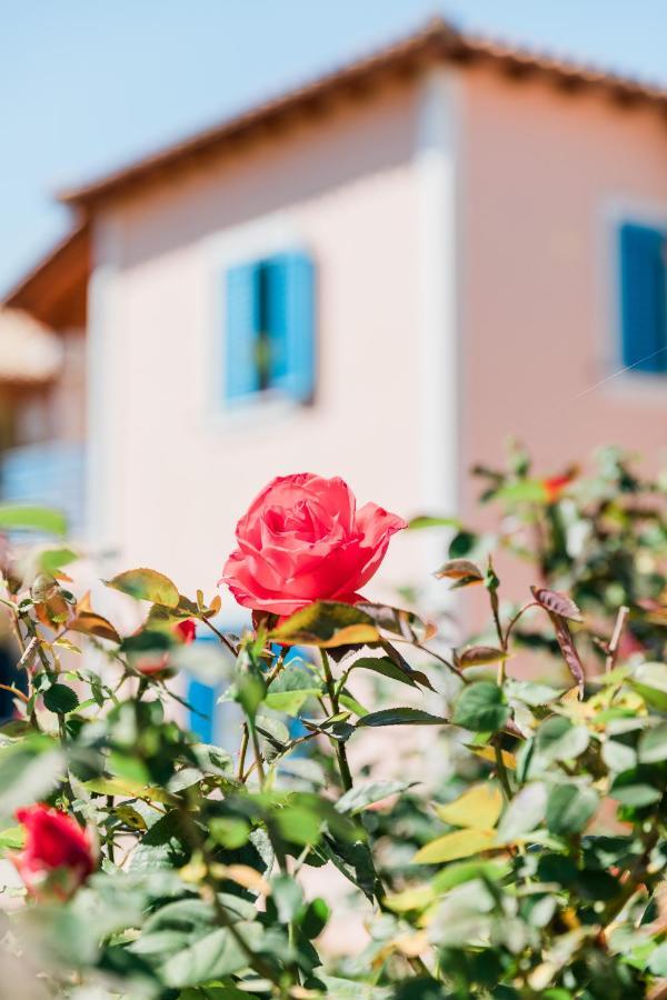 Alexandros Apartments Nydri Nydri (Lefkada) Exterior photo